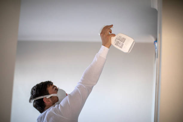 Best Industrial Mold Remediation in Mountlake Terrace, WA